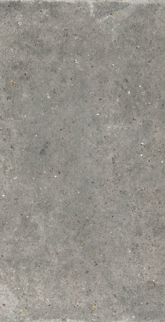 Gardenia&Ariana Anima Fango R11 Rettificato 20mm 60x120
