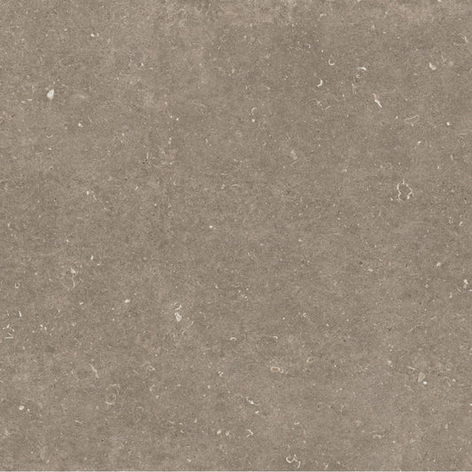 Florim Rinascenza Arena Pietra Matte 120x120 6mm