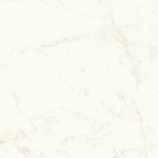 Marvel Shine Calacatta Delicato 120x240 Lapp. - Gres Porcellanato di Atlas Concorde - Prezzo solo €200.98! Compra ora su CEGO CERAMICHE