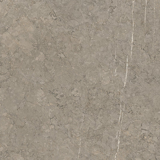 COEM Sense Taupe 120,8x120,8 Naturale