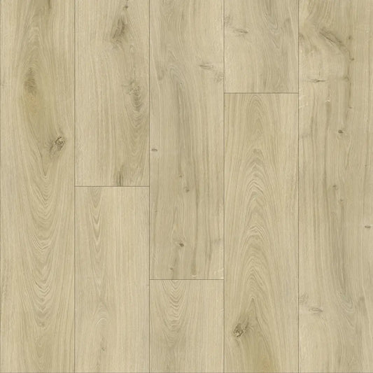 Virag Evolution Grande Rovere Borgogna EG6075 230x1800 mm — pavimento posato