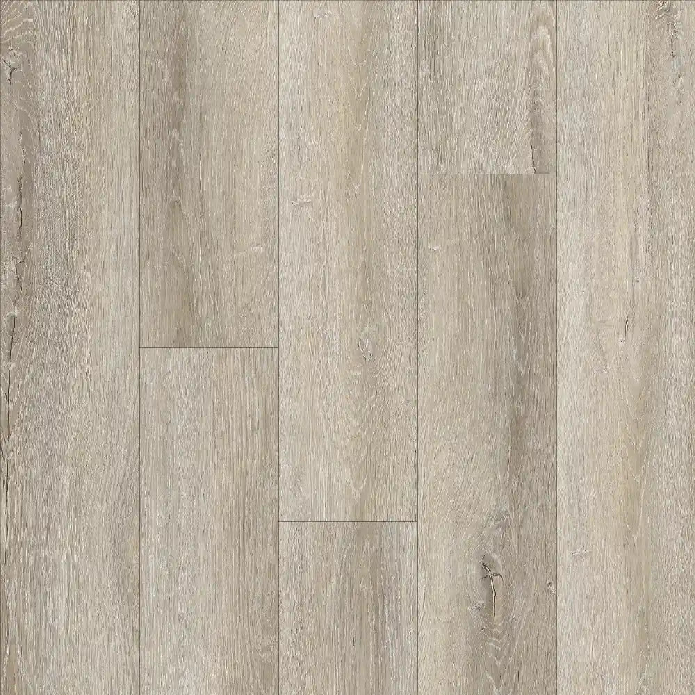 Evolution Tack Dry Plus Rovere Beige TD4427 185x1500