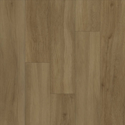 Evolution Tack Dry Plus Rovere Americano TD4489 185x1500