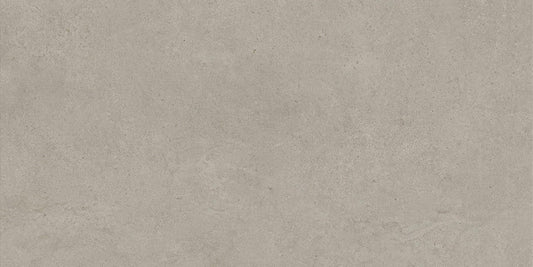 Boost Vision Grey 60x120 20mm
