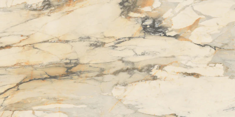 Gardenia&Ariana La Marmoteca Antique Brown P-Tech Rettificato 8,5mm 60x120