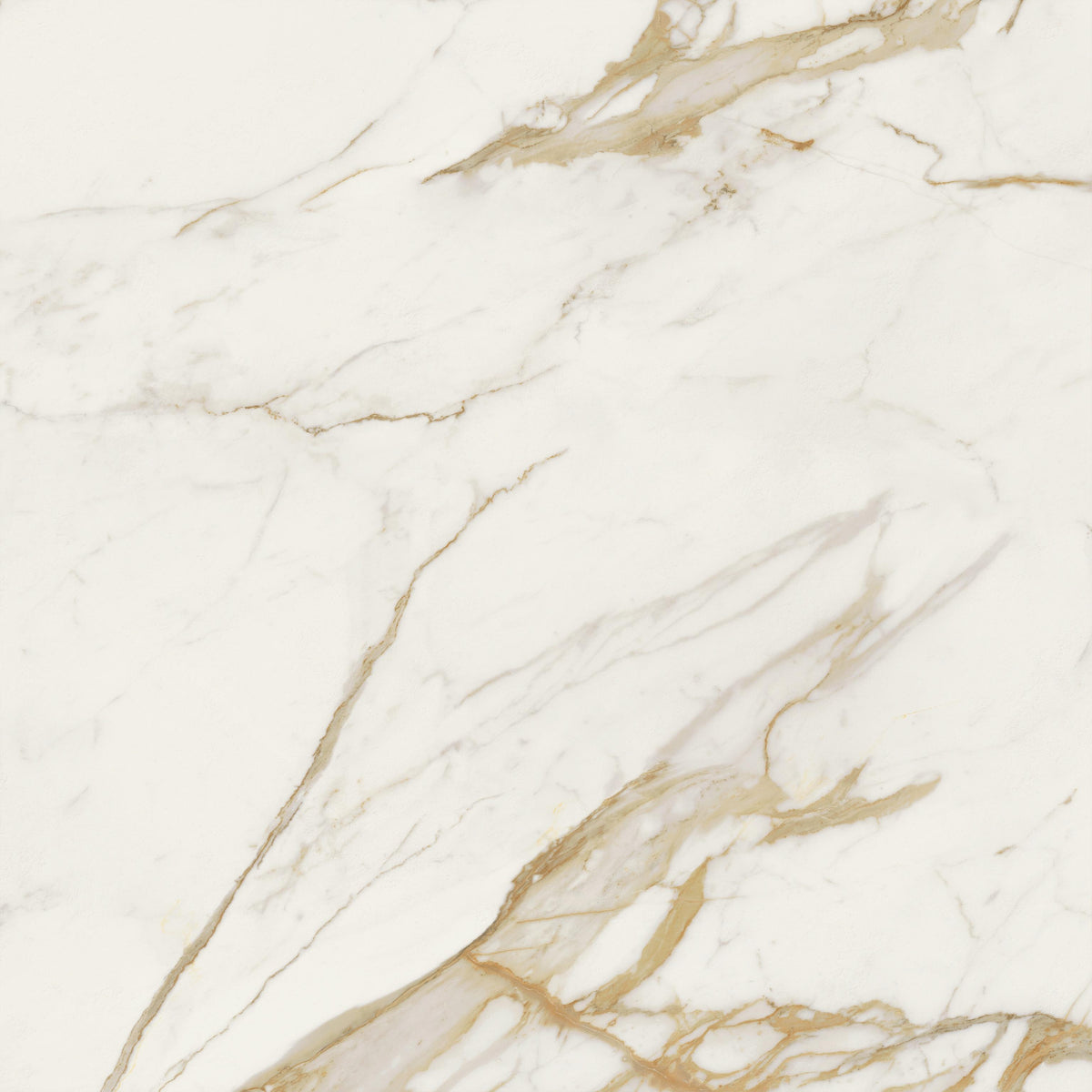 Atlas Concorde Marvel Next Calacatta Oro 120x120