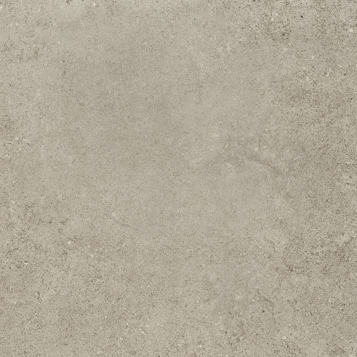 Minimale ufficiale - Cotto Petrus Ultra Geostone Taupe 20Mm 80x80
