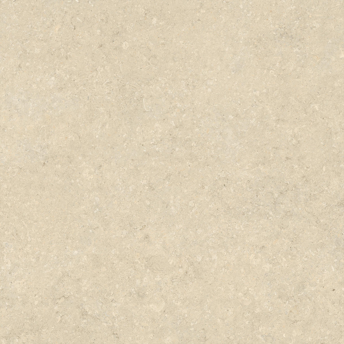 Atlas Concorde Nyra Utopia Acacia 80x80 20mm
