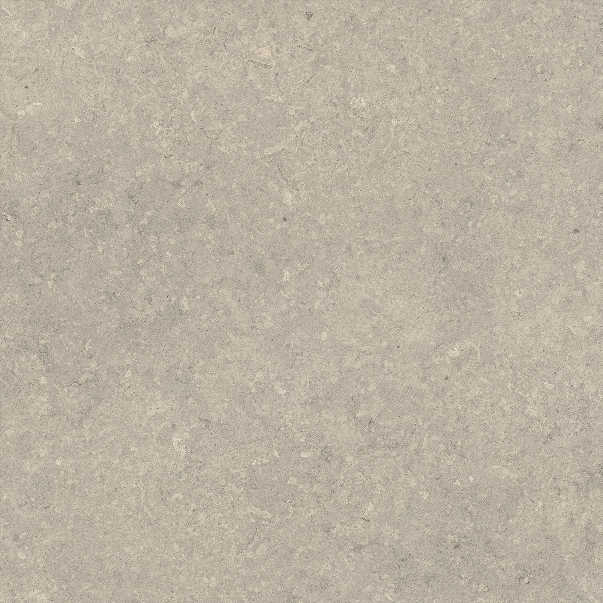 Atlas Concorde Nyra Utopia Comet 80x80 20mm