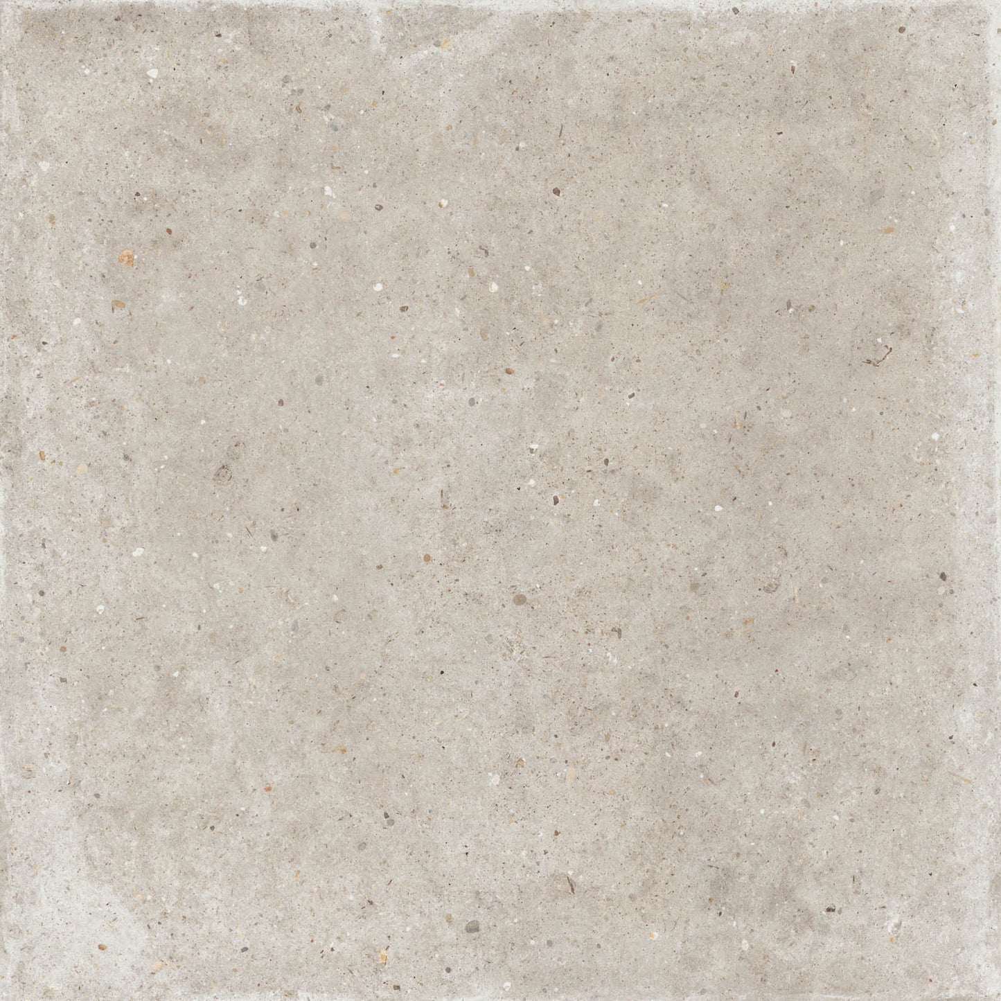 Gardenia&Ariana Anima Beige P-Tech Rettificato 8,5mm 120x120