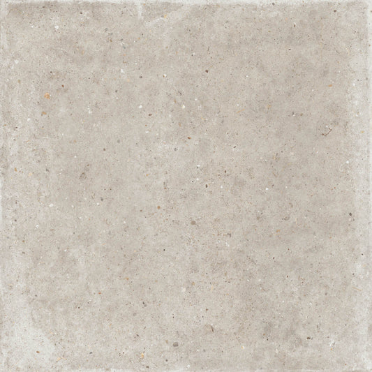 Gardenia&Ariana Anima Beige P-Tech Rettificato 8,5mm 120x120