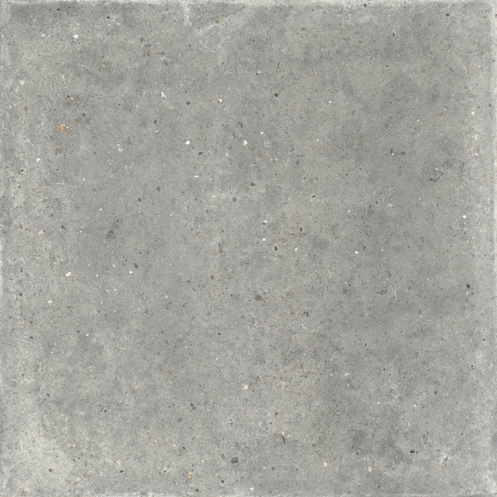 Gardenia&Ariana Anima Grigio P-Tech Rettificato 8,5mm 120x120