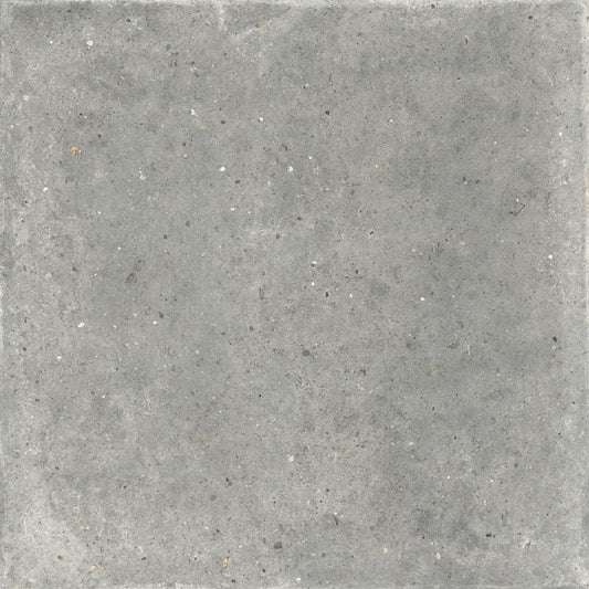 Gardenia&Ariana Anima Grigio P-Tech Rettificato 8,5mm 120x120