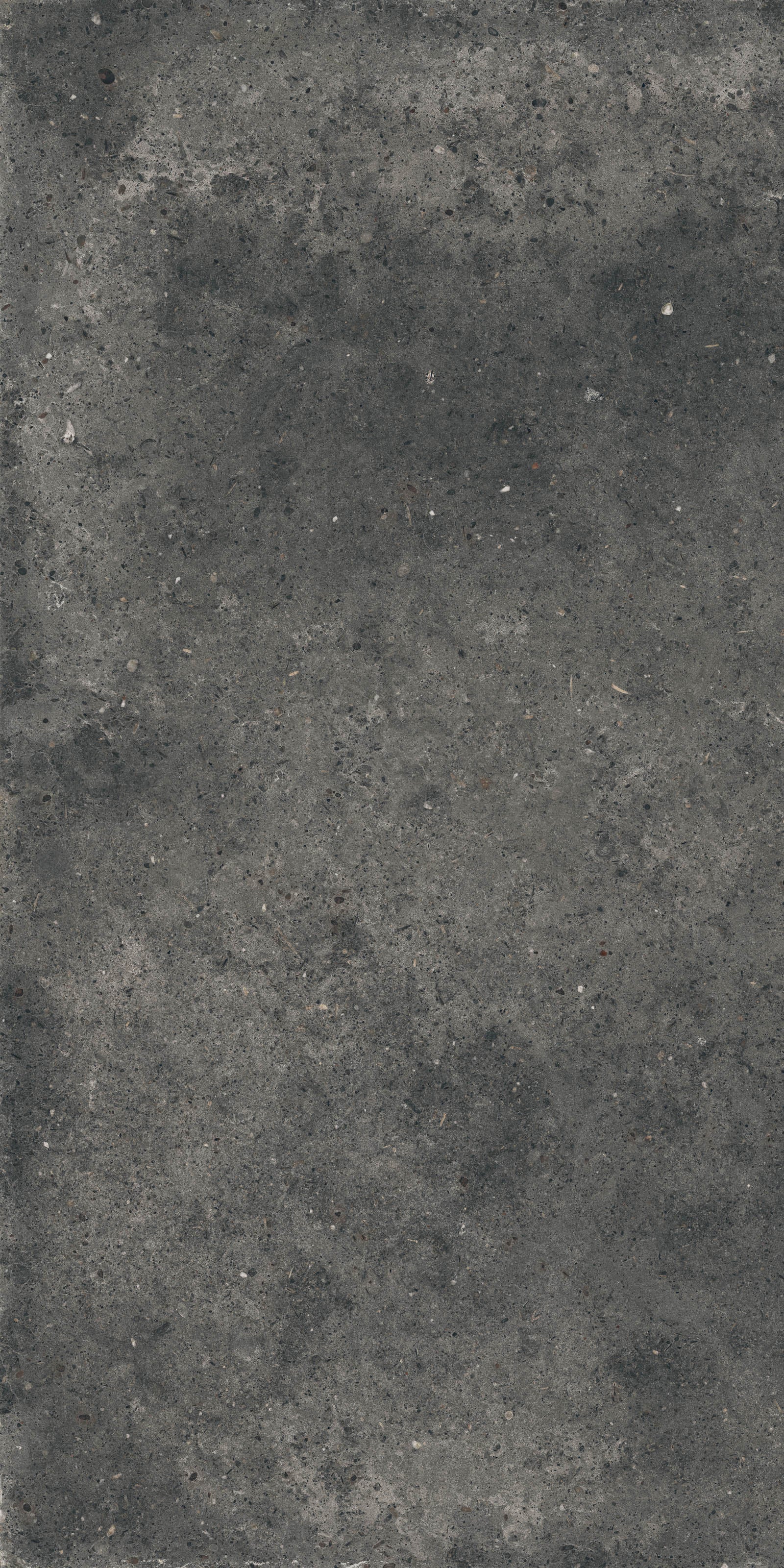 Gardenia&Ariana Anima Fumo P-Tech Rettificato 8,5mm 60x120