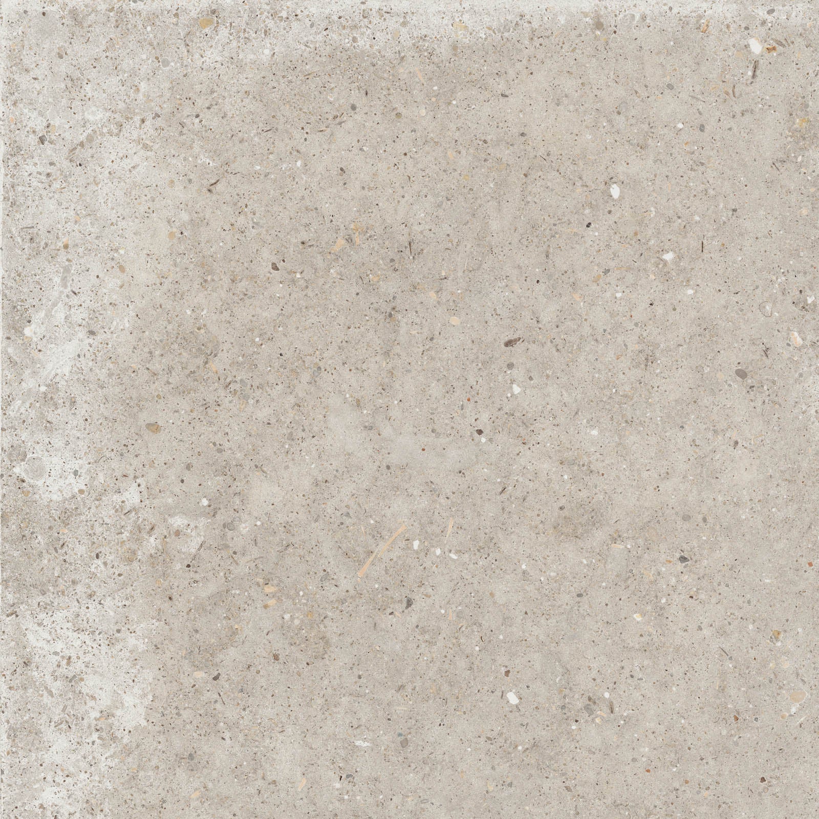 Gardenia&Ariana Anima Beige P-Tech Rettificato 8,5mm 60x60