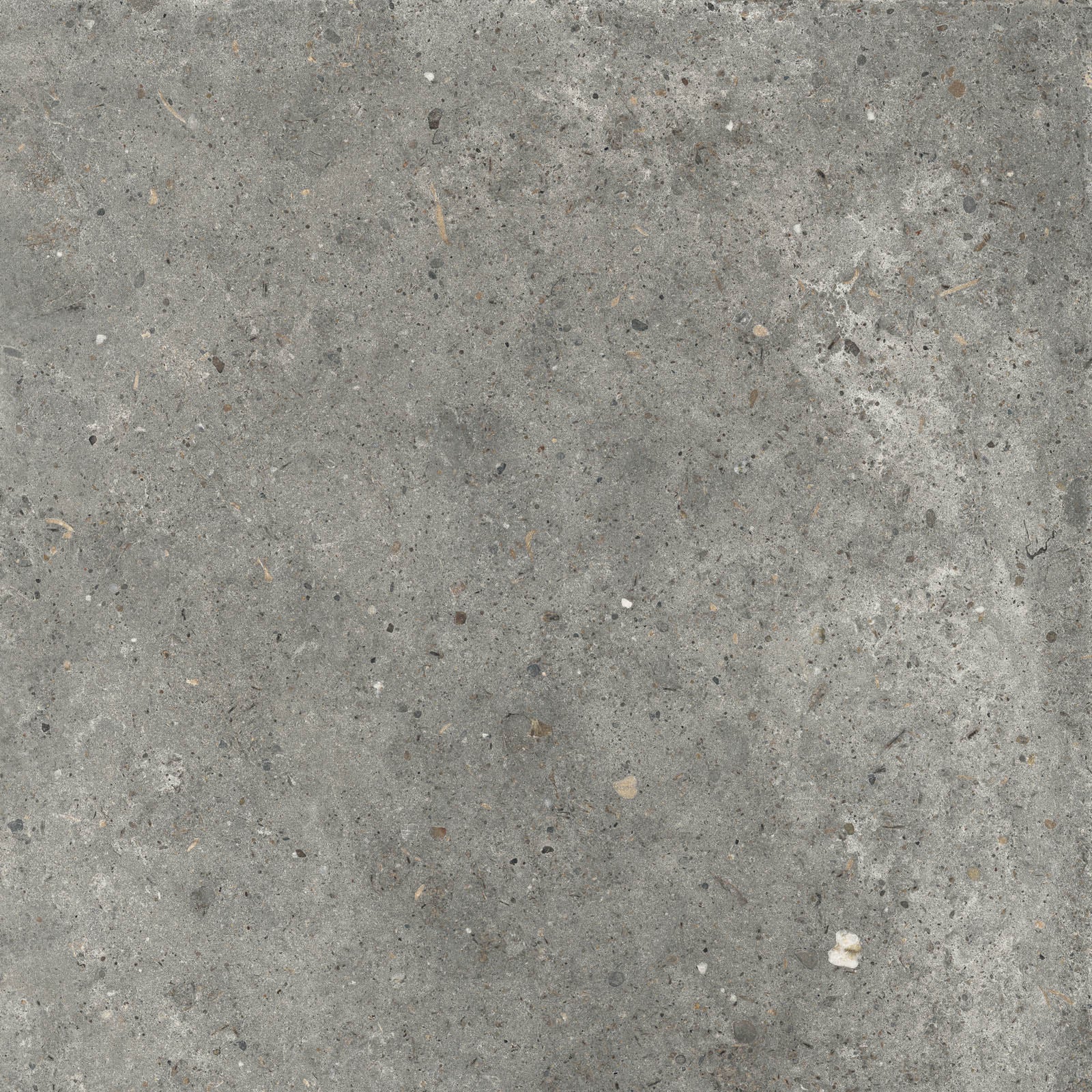 Gardenia&Ariana Anima Fango P-Tech Rettificato 8,5mm 60x60