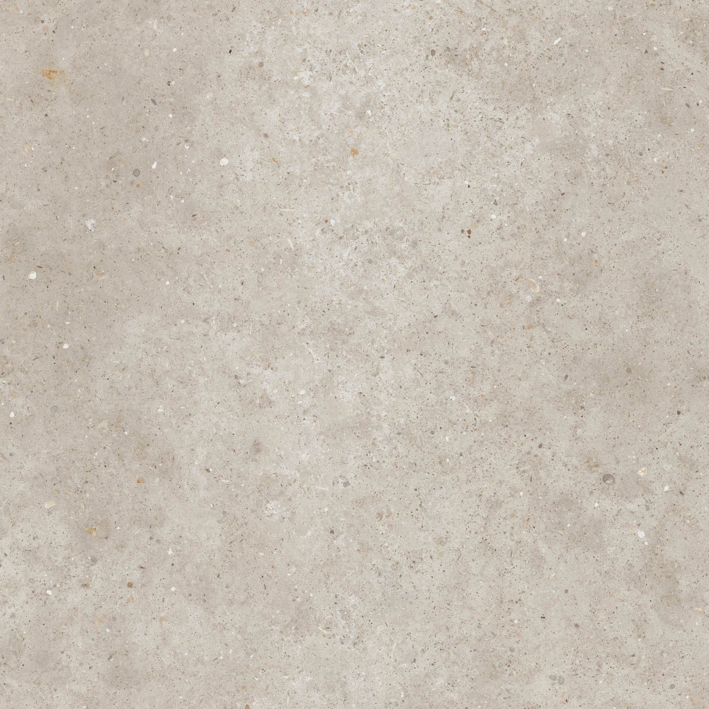 Gardenia&Ariana Anima Beige R11 Rettificato 20mm 80x80