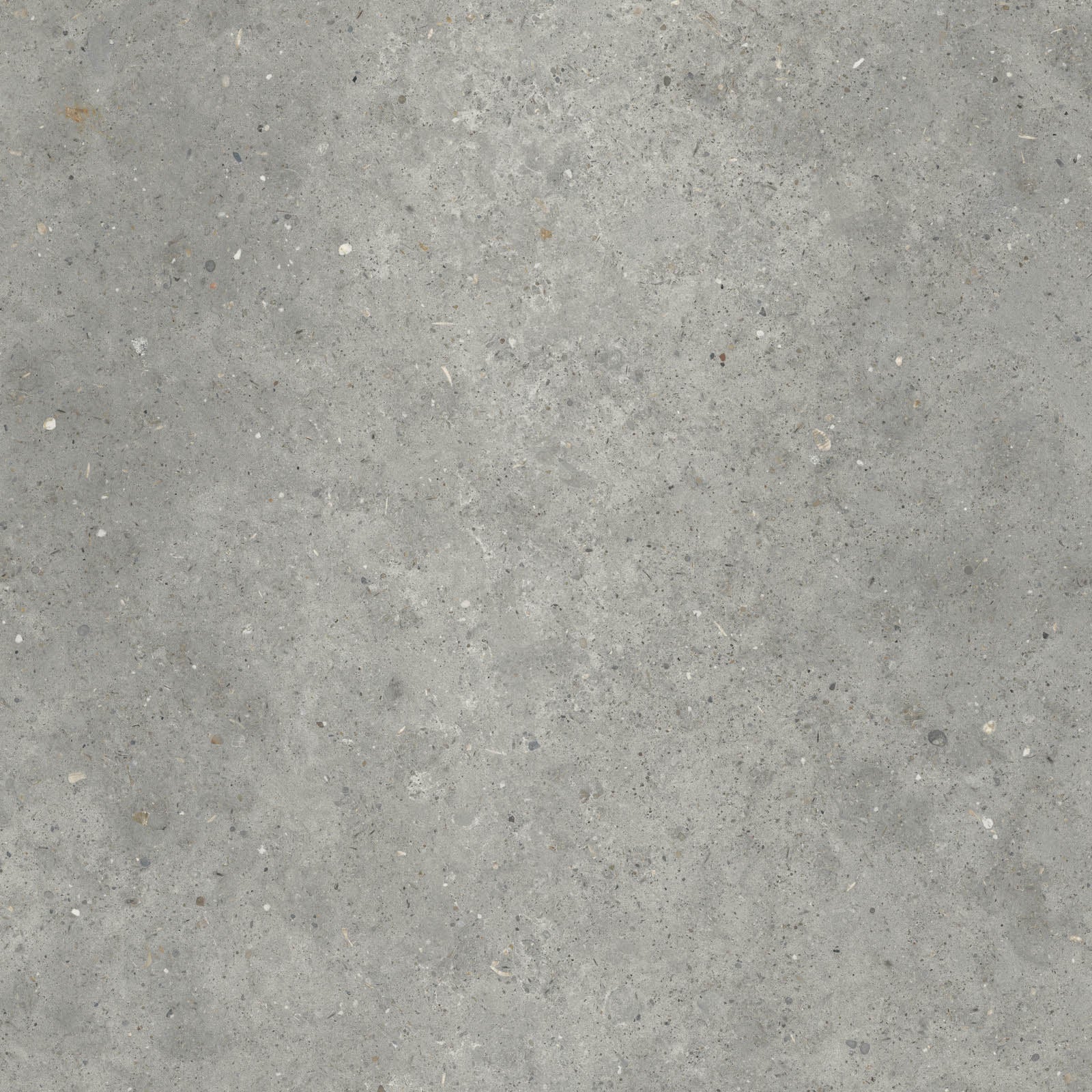 Gardenia&Ariana Anima Grigio R11 Rettificato 20mm 80x80