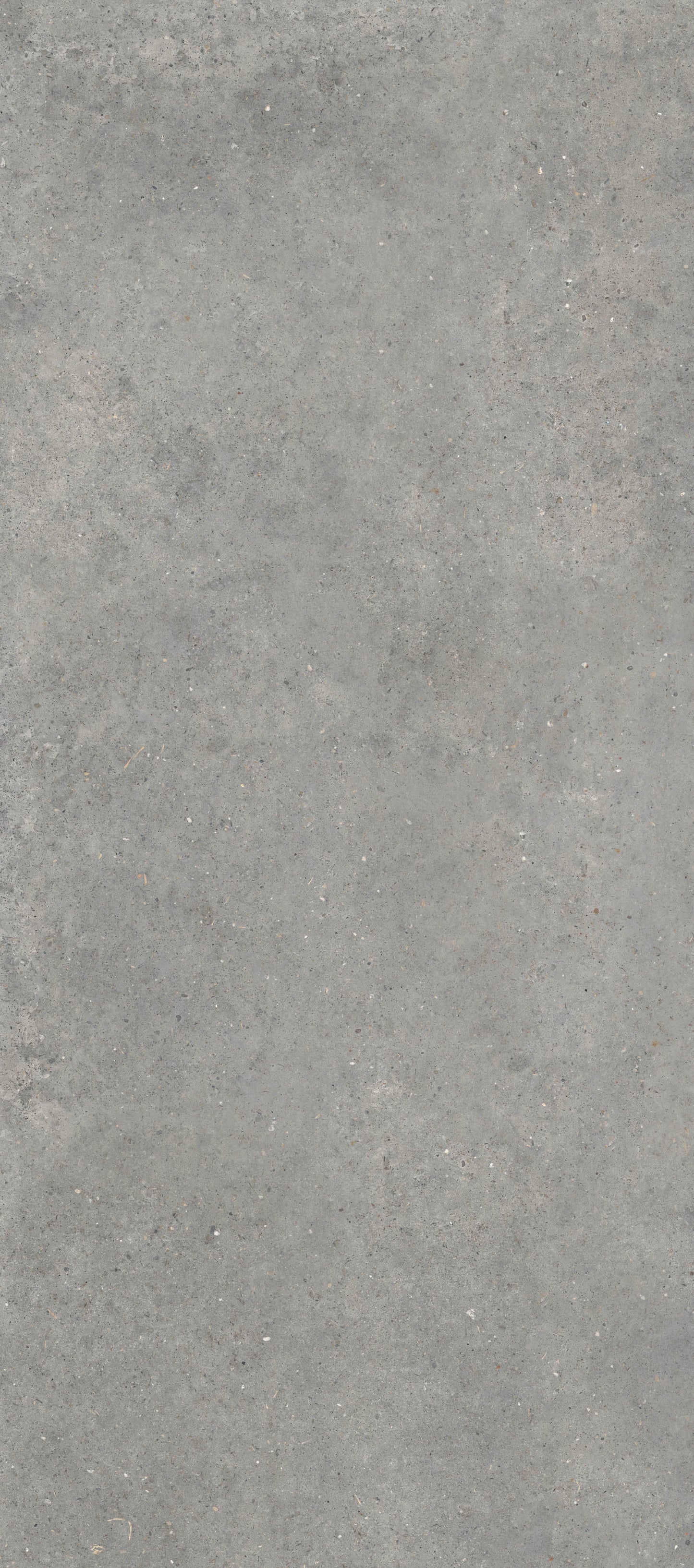 Gardenia&Ariana Anima Grigio Naturale Rettificato 6mm 120x280