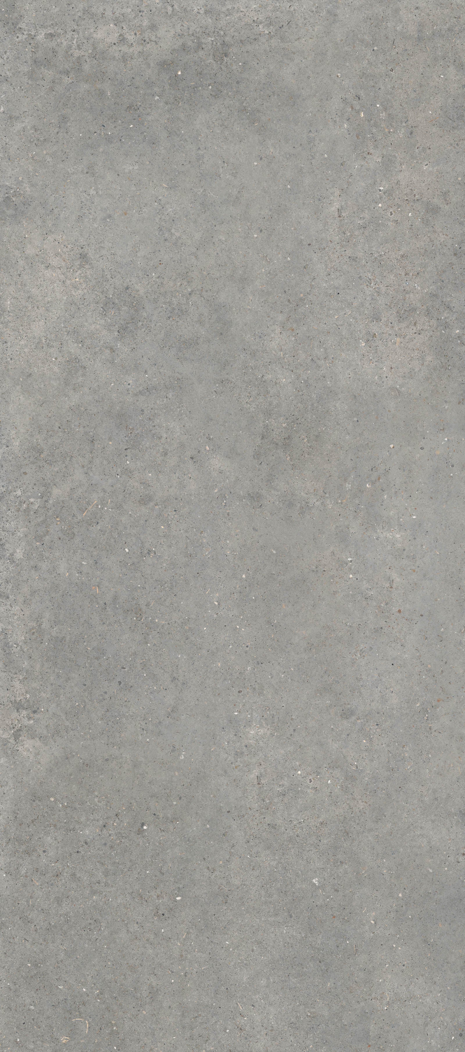 Gardenia&Ariana Anima Grigio Naturale Rettificato 6mm 120x280
