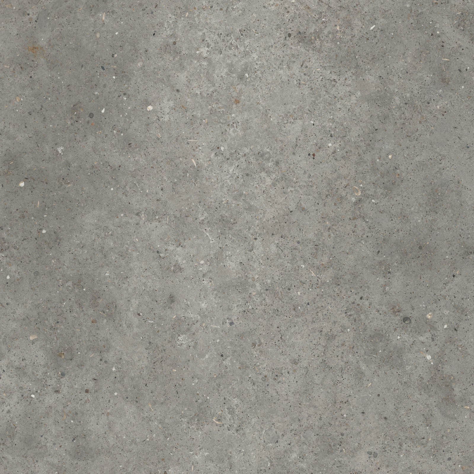 Gardenia&Ariana Anima Fango R11 Rettificato 20mm 80x80