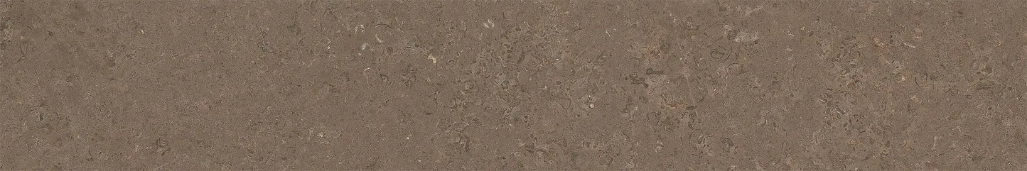 Versace V Stone Brown 5x60 R11