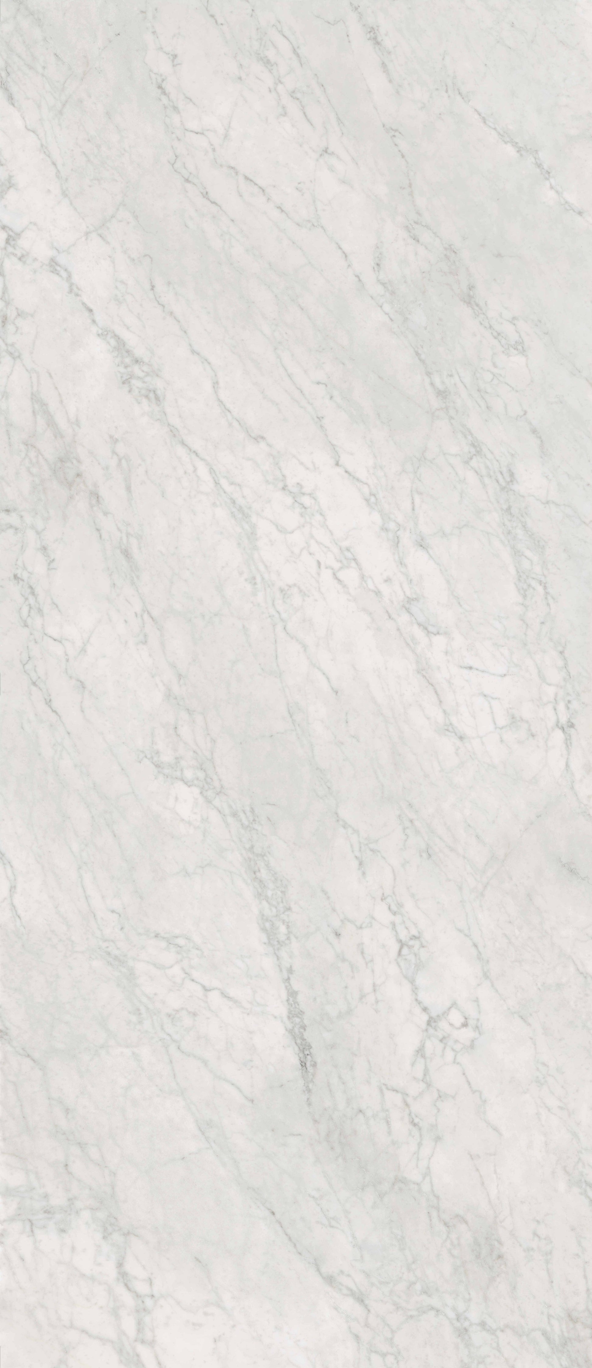 Gardenia&Ariana Bon Ton Carrara Lux 3D Rettificato 6mm 120x280