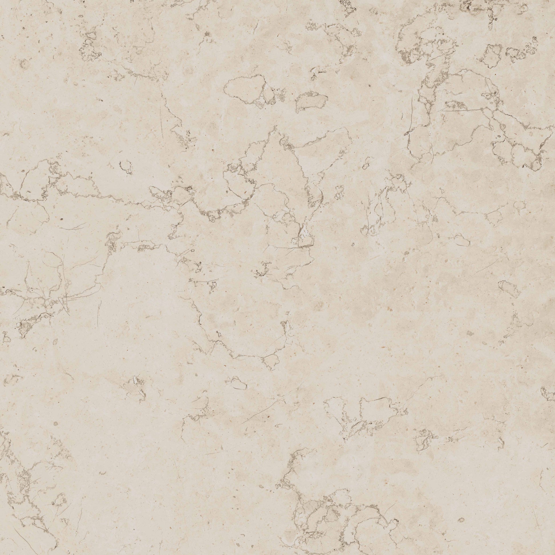 Gardenia&Ariana Bon Ton Biancone Antique 3D Rettificato 8,5mm 120x120