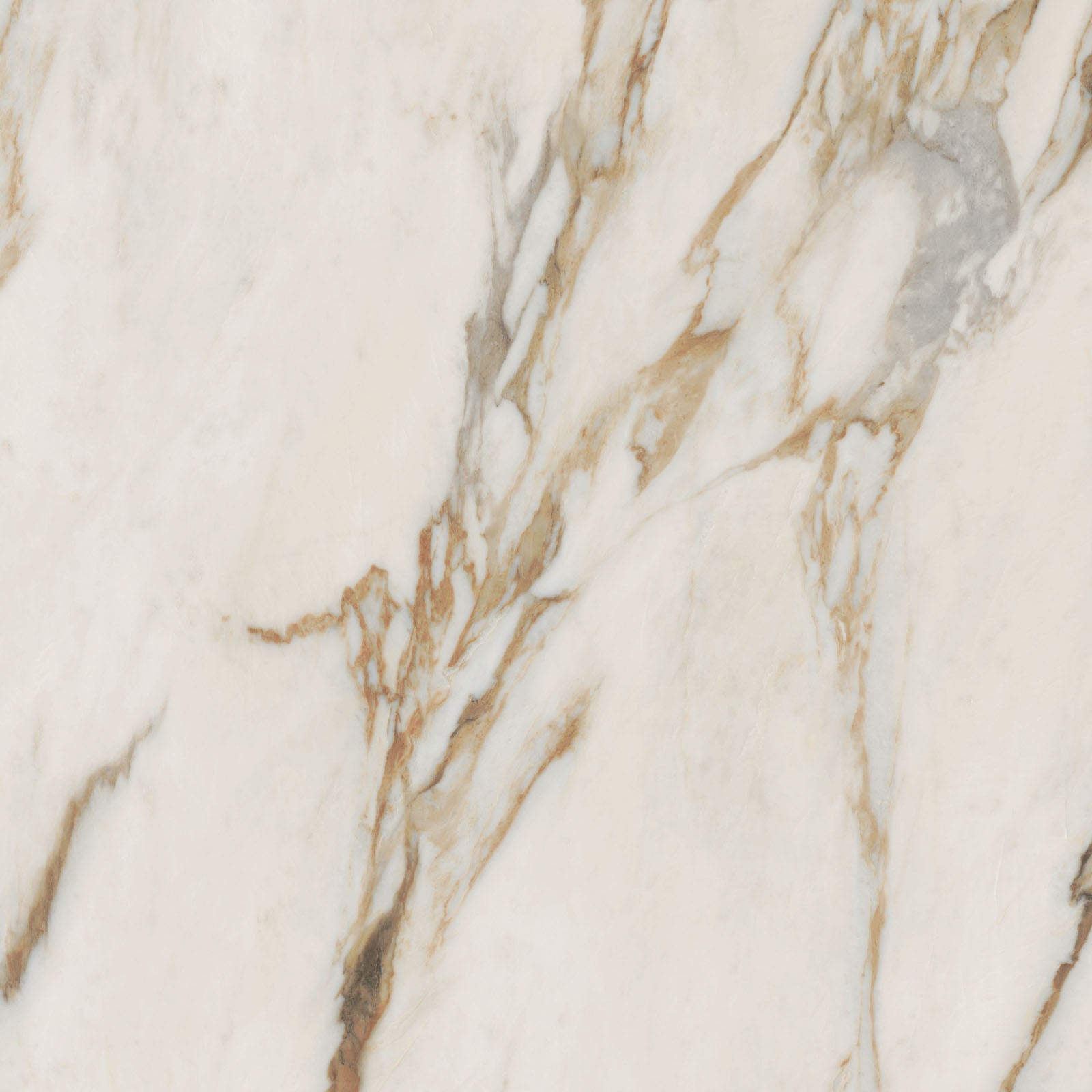 Sensi Signoria Calacatta Vena Oro 120x120 P.Tech - Gres Porcellanato di ABK - Prezzo solo €119.47! Compra ora su CEGO CERAMICHE