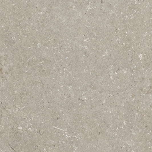 Minimale ufficiale - Cotto Petrus Ultra Shellstone Taupe 20 Mm 60x60