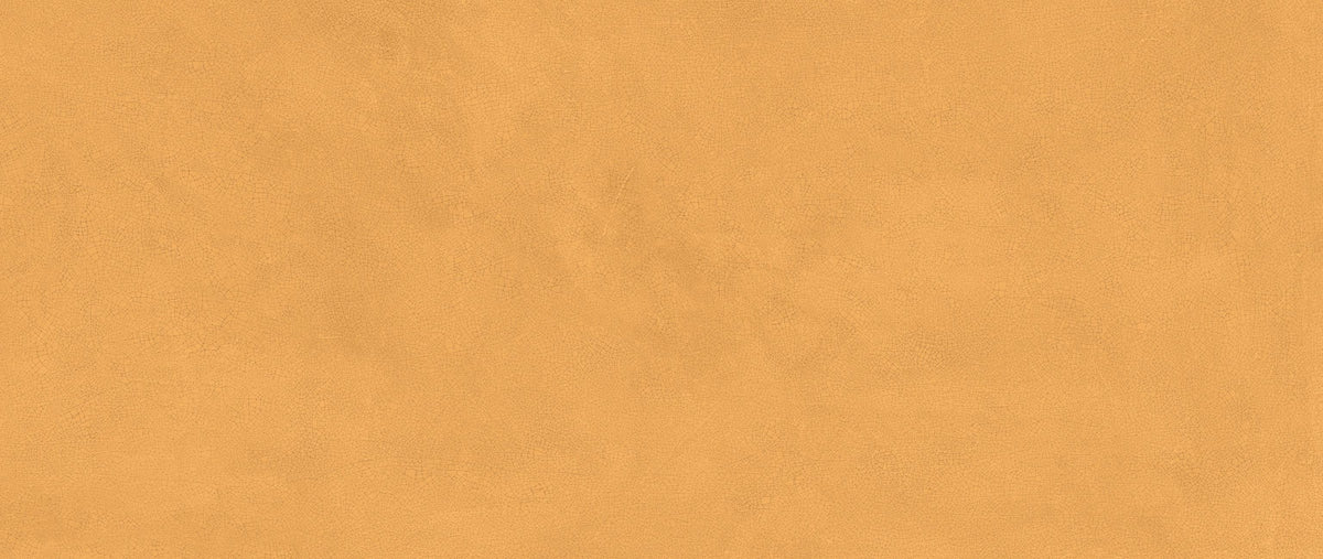 Atlas Concorde Vivia Crelis Ochre 50x120 Lucido