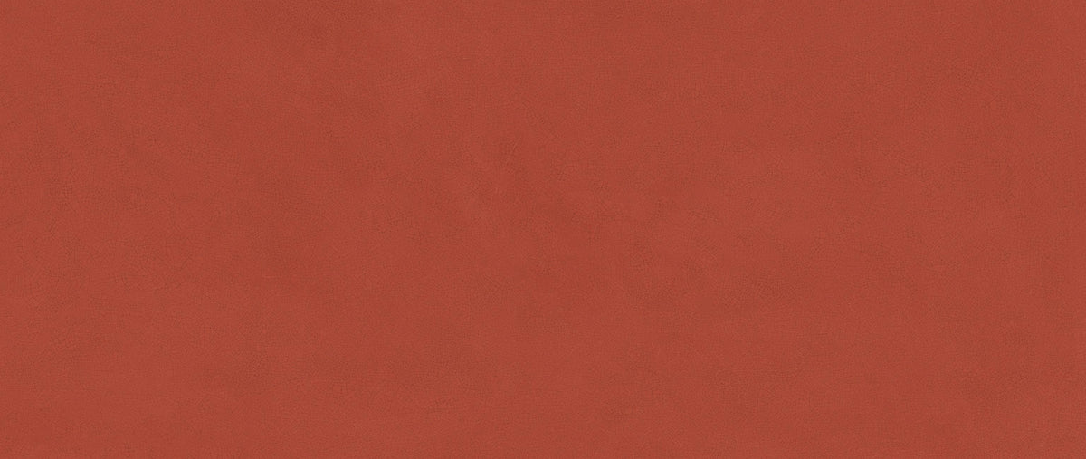 Atlas Concorde Vivia Crelis Deep Red 50x120 Lucido