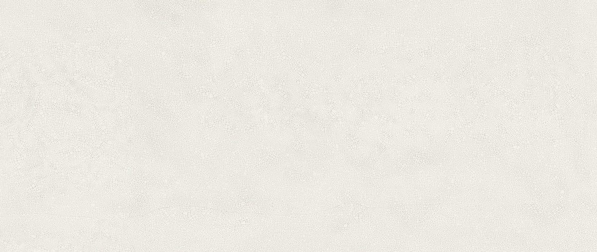 Atlas Concorde Vivia Crelis Off-White 50x120 Lucido