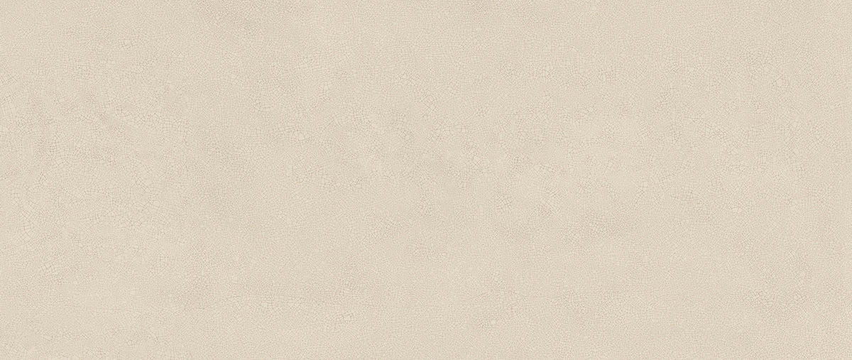 Atlas Concorde Vivia Crelis Shell 50x120 Lucido