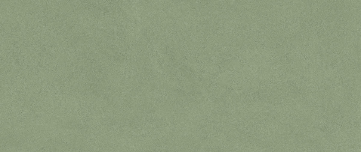 Atlas Concorde Vivia Crelis Light Green 50x120 Lucido