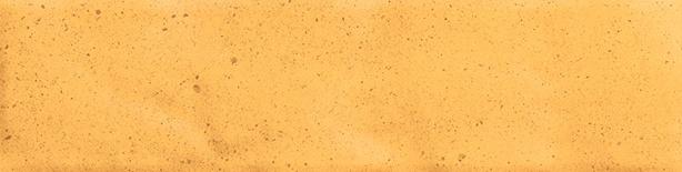 Atlas Concorde Vivia Kiln Euphoria 6x24 Lucido