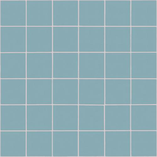 CESI Full Body Acqua 5x5 Mosaico su Rete