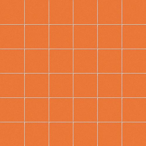 CESI Lucidi Arenaria 5x5 Mosaico su Rete