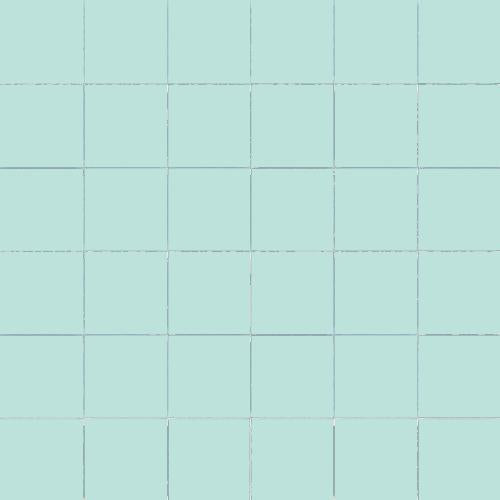 CESI Matt Baia 5x5 Mosaico su rete
