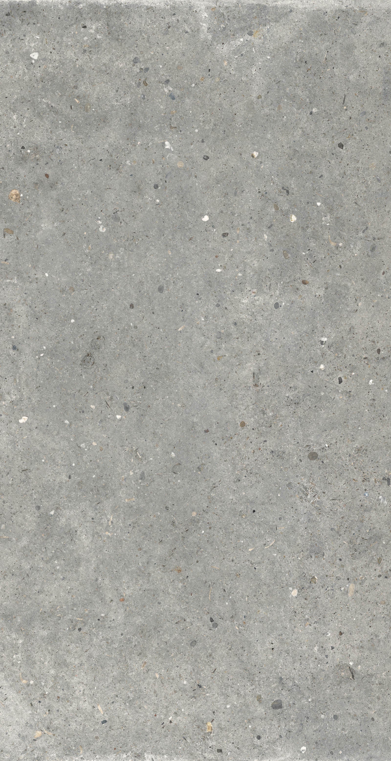 Gardenia&Ariana Anima Grigio R11 Rettificato 20mm 60x120