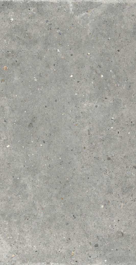 Gardenia&Ariana Anima Grigio R11 Rettificato 20mm 60x120