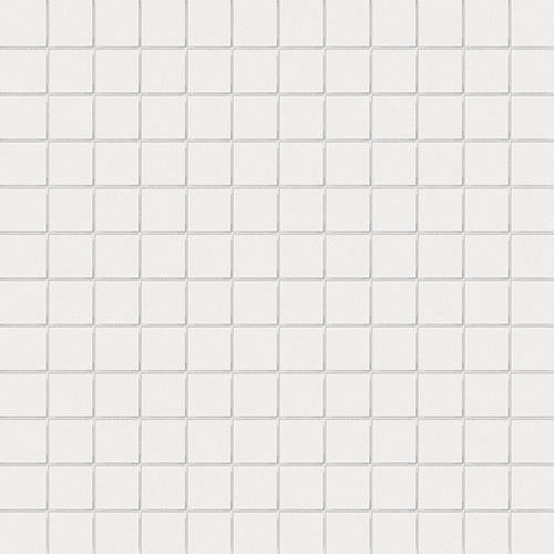 CESI Matt Bianco 2,5x2,5 Mosaico su rete