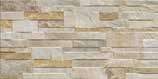 Campione di superficie ufficiale - Cotto Petrus Granito New Grigio 31x62 8 mm