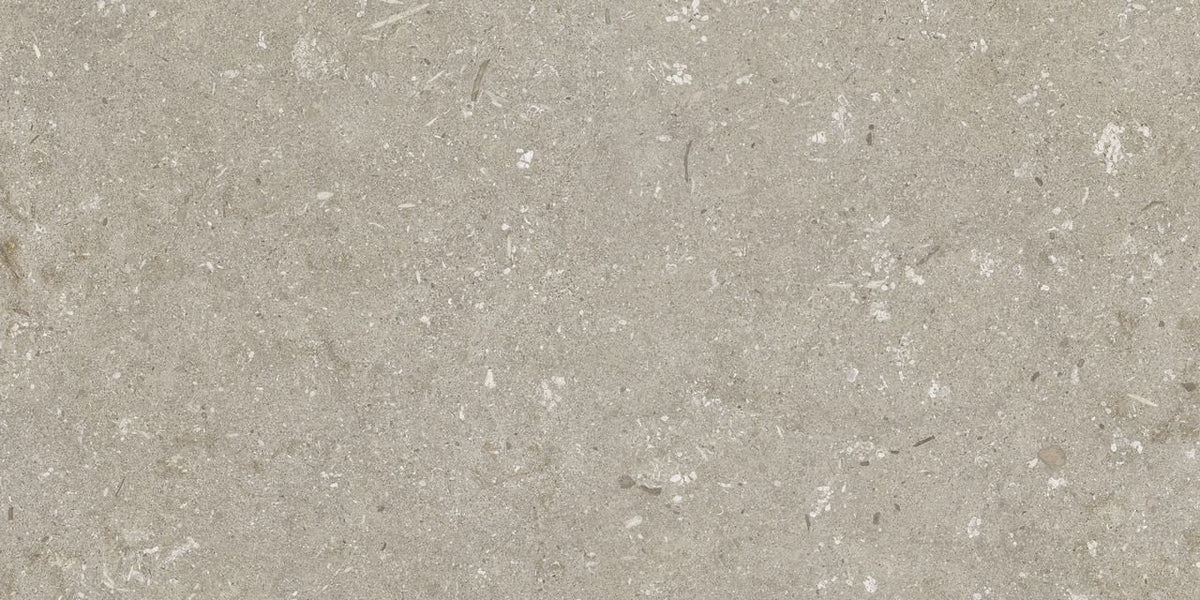 Minimale ufficiale - Cotto Petrus Ultra Shellstone Taupe 20 Mm 60x120