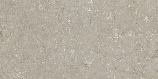 Minimale ufficiale - Cotto Petrus Ultra Shellstone Taupe 20 Mm 60x120