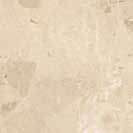 Campione di superficie ufficiale - Cotto Petrus Elegant Terra In 8Mm 30,5x30,5