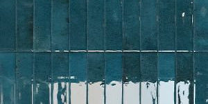 Minimale ufficiale - Cotto Petrus Muraglia Navy Lux 60x120 10 mm