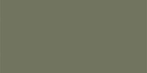 Minimale ufficiale - Cotto Petrus Anni '70 Fondo Menta 60x120 9,5 mm