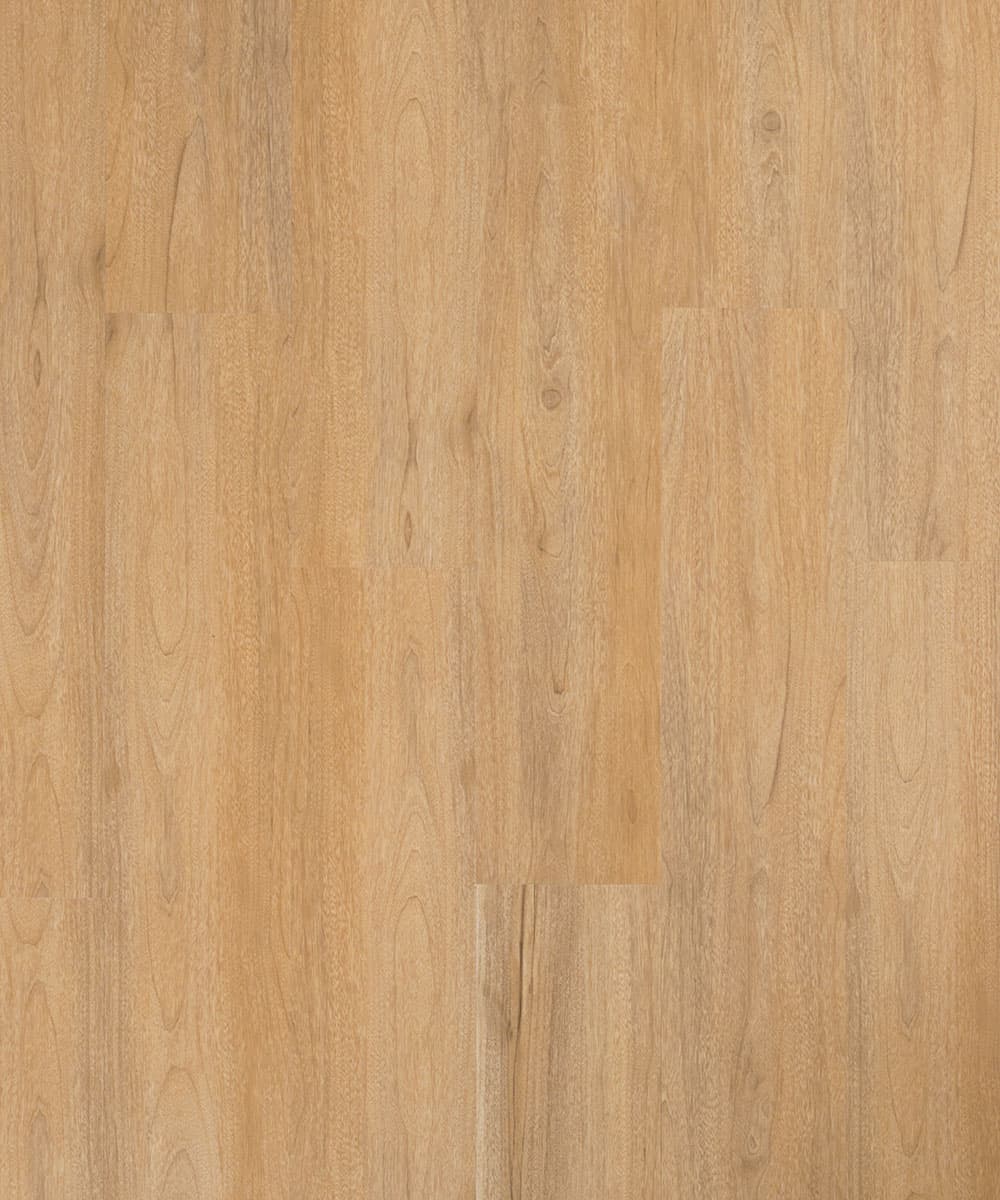 Clap Go Sequoia Doga Wall 1226x130x3 mm - Déco, immagine 1