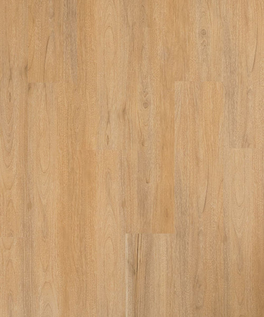 Clap Go Sequoia Doga Wall 1226x130x3 mm - Déco, immagine 1